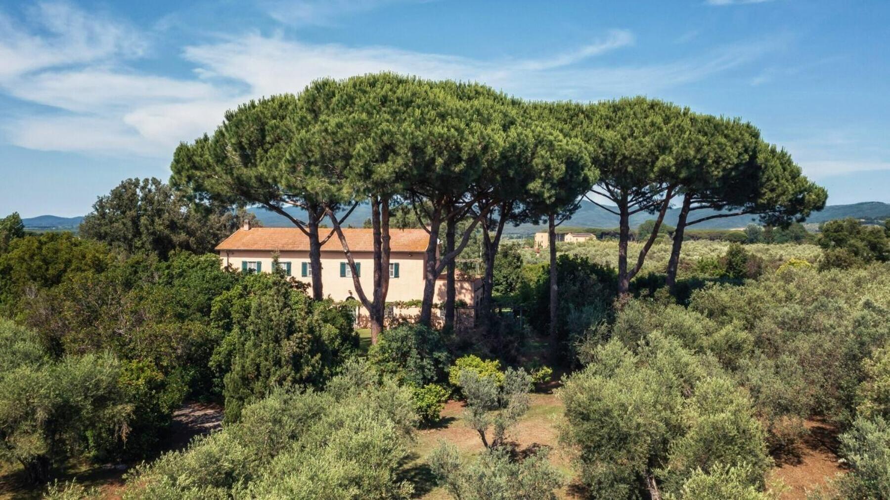 دونوراتيكو Bb Villa Bolgheri Mare المظهر الخارجي الصورة